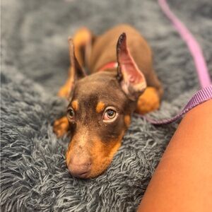 Make Offer. Don’t just like.